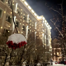 Аватар канала «Мурманская областная филармония»