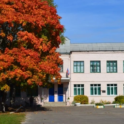 Аватар канала «МАОУ СШ №6»