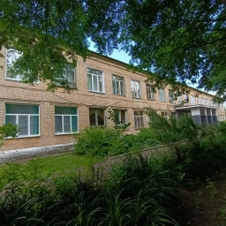 Аватар канала «МАОУ ОШ №20 г.Бор»