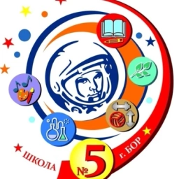 Аватар канала «МАОУ ОШ №5 г.Бор Нижегородской области»