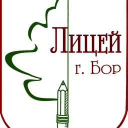 Аватар канала «МАОУ лицей г. Бор»