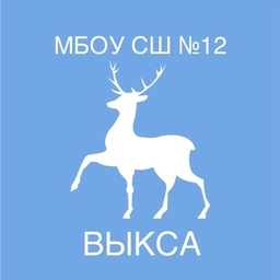 Аватар канала «МБОУ СШ № 12 г. Выкса»