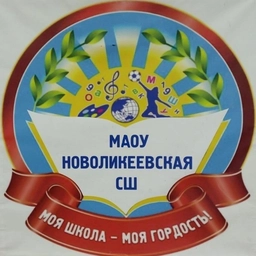 Аватар канала «МАОУ "Новоликеевская СШ"»