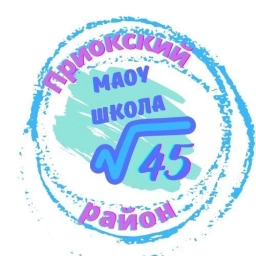 Аватар канала «МАОУ "Школа №45" Приокский район»