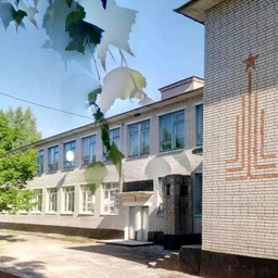 Аватар канала «МАОУ "Средняя школа д.Мойка"»