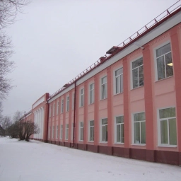 Аватар канала «МАОУ СШ 1 г. Малая Вишера»