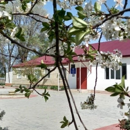 Аватар канала «МКОУ "Карабаглинская СОШ"»