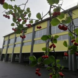 Аватар канала «МАОУ СОШ № 8 с УИМ и АЯ»