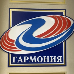 Аватар канала «МАОУ «Гимназия «Гармония» Великий Новгород»