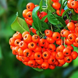 Аватар канала «Канал МБДОУ д/с N 163»