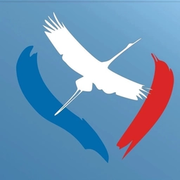 Аватар канала «Канал МАОУ СОШ № 85 "Журавушка"»