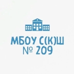 Аватар канала «МБОУ С(К)Ш № 209»