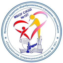 Аватар канала «МБОУ С(К)Ш 107»