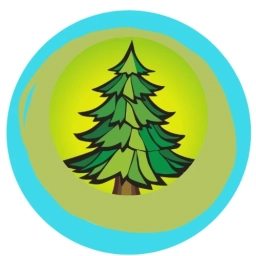 Аватар канала «"ЕЛОЧКА" - информационный канал МБДОУ д/с № 425 "Елочка"»