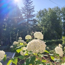 Аватар канала «МБОУ СОШ № 66»