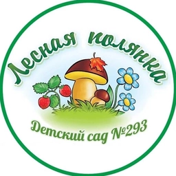 Аватар канала «МБДОУ д/с № 293 г. Новосибирск»