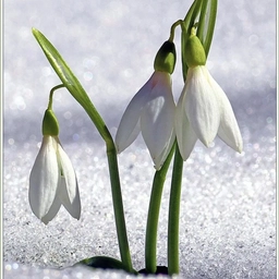 Аватар канала «МБДОУ 196 "Подснежник"»