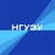 Аватар канала «НГУЭУ»