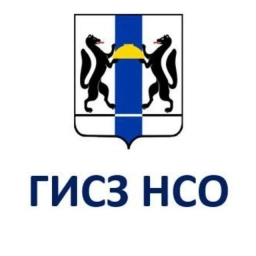 Аватар канала «ГИСЗ НСО»