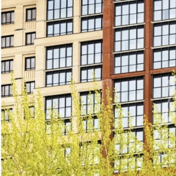 Аватар канала «Звезда ЖК в Новосибирске»