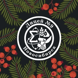 Аватар канала «МАОУ "Лицей №9"»