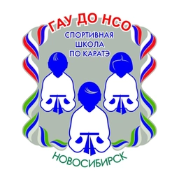 Аватар канала «ГАУ ДО НСО «СШ по каратэ»»