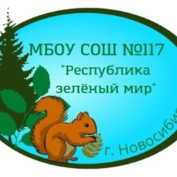 Аватар канала «МБОУ СОШ №117»