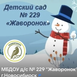 Аватар канала «"Жаворонок" 229»