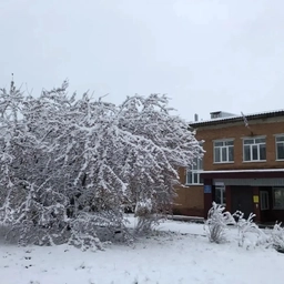 Аватар канала «МКОУ Боровская СОШ»