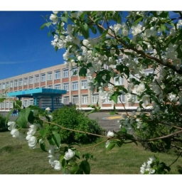 Аватар канала «МБОУ СОШ № 3 г. Татарска»