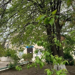 Аватар канала «МБОУ «СОШ №16» им. М. Казим-Бека г. Дербента»