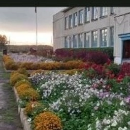 Аватар канала «Канал МБОУ Новоивановской ООШ»