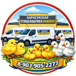 Аватар канала «Птицефабрика ФАВОРИТ»