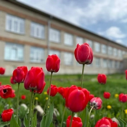 Аватар канала «МБОУ "Скалинская СОШ"»