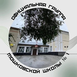 Аватар канала «МКОУ Мошковская СОШ N1»