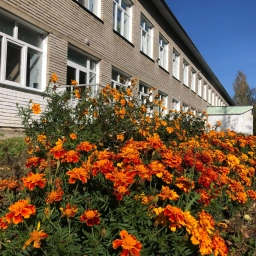 Аватар канала «МБОУ «Мочищенская школа 45»»