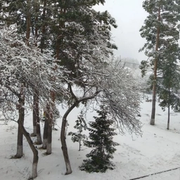 Аватар канала «"Березиковская средняя школа"»