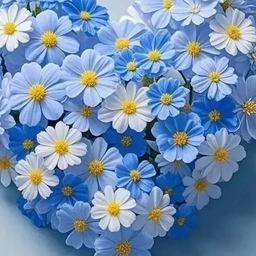 Аватар канала «Прогимназия «Ручеёк» г.Хасавюрт»