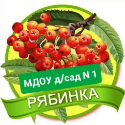Аватар канала «МДОУ - детский сад № 1 "Рябинка" комбинированного вида»