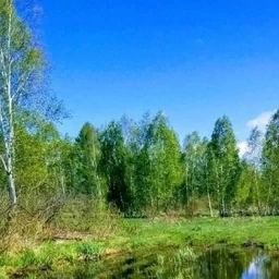 Аватар канала «Администрация Кабинетного сельсовета Чулымского района»