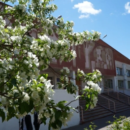 Аватар канала «БОУ города Омска "Лицей № 149"»