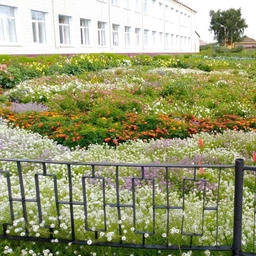 Аватар канала «Крутинская гимназия»