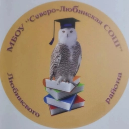 Аватар канала «МБОУ "Северо-Любинская СОШ" Любинского района Омской области»