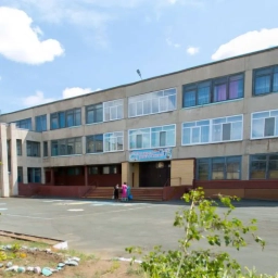 Аватар канала «МОАУ "СОШ №17 г.Орска"-первичное отделение Движения Первых»