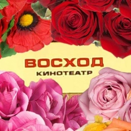 Аватар канала «Кинотеатр ВОСХОД 3D (Адамовка)»