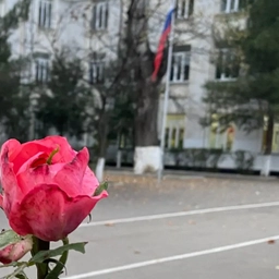 Аватар канала «МБОУ «Гимназия №4»»