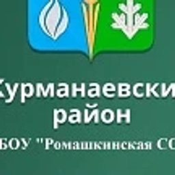 Аватар канала «МБОУ "Ромашкинская СОШ"»