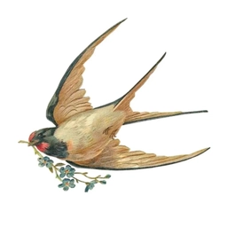 Аватар канала «Детский сад «Ласточка»»