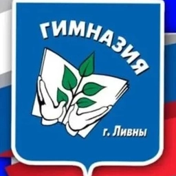 Аватар канала «МБОУ Гимназия г. Ливны»