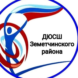 Аватар канала «МАОУ ДО ДЮСШ Земетчинского района»